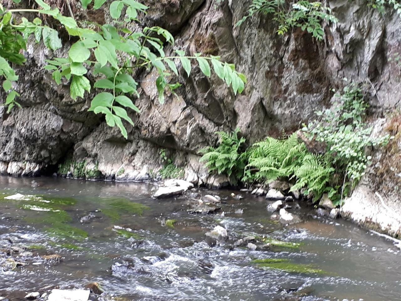מנדרשייד Herberg Die Alte Schleuse מראה חיצוני תמונה