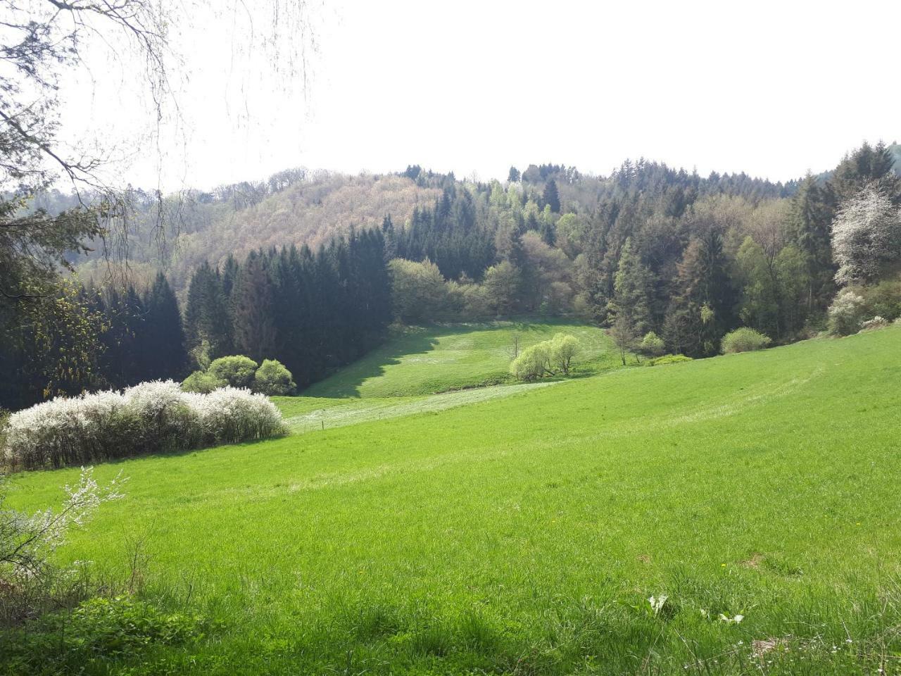 מנדרשייד Herberg Die Alte Schleuse מראה חיצוני תמונה